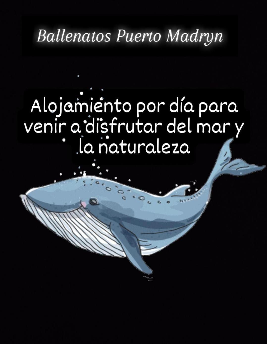 Ballenatos Madryn Πουέρτο Μαντρίν Εξωτερικό φωτογραφία